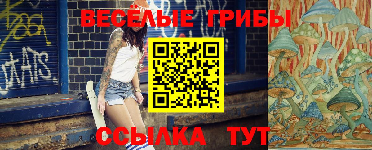Галлюциногенные грибы Cubensis Малгобек